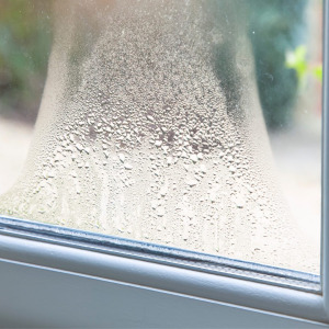 Poorly installed windows, condensation, window replacement