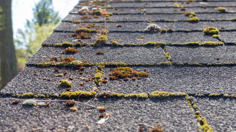 Algae-Resistant Shingles