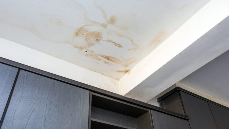 How Roof Leaks Can Affect Your Home